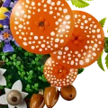 11505 LEGO Botanicals Metsän sienet