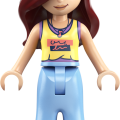 42687 LEGO  Friends Liannas ģimenes māja