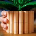 11504 LEGO Botanicals Спатифиллум