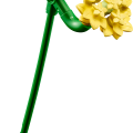10347 LEGO Botanicals Mazā saulainā buķete