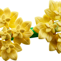 10347 LEGO Botanicals Mazā saulainā buķete