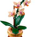 10343 LEGO Botanicals Mini orhideja