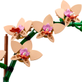 10343 LEGO Botanicals Mini orhideja