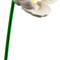 10347 LEGO Botanicals Mazā saulainā buķete