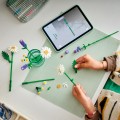 11508 LEGO Botanicals Маргаритки