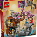 71819 LEGO 71819 Draakonikivi pühamu V29