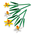 40747 LEGO  Iconic Nartsissid