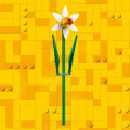 40747 LEGO  Iconic Nartsissid