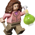 76471 LEGO Harry Potter TM Iskunkiertokujan velhokaupat
