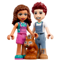 41707 LEGO  Friends Машина для посадки деревьев