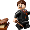 76449 LEGO Harry Potter TM Koletu koletiste raamat