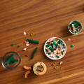 10343 LEGO Botanicals Mini orhideja