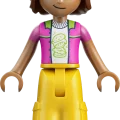 42703 LEGO  Friends Merenneitoaiheinen vuoristorata