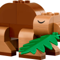 11041 LEGO  Classic Творческие динозавры
