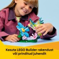 31384 LEGO  Creator Savvaļas dzīvnieki: Krāsainais kolibri