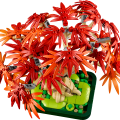 10348 LEGO Botanicals Дерево бонсай: красный японский клен