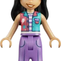 42700 LEGO  Friends Karkkien ja kuppikakkujen koristama maailmanpyörä