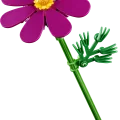 11514 LEGO Botanicals Kosmoskukat