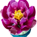 11511 LEGO Botanicals Lumpeet