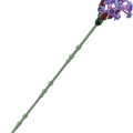 11507 LEGO Botanicals Olivia Rodrigo lillekimp