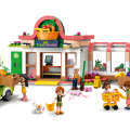41729 LEGO  Friends Ekoloģiskās pārtikas veikals