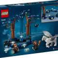 76432 LEGO Harry Potter TM Keelatud mets: müütilised olendid
