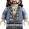 76475 LEGO Harry Potter TM Kielletty metsä: Odotum suojelius