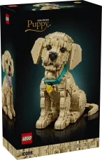 11384 Kuldse retriiveri kutsikas